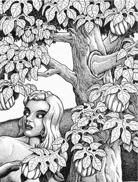 Eve Reaches for the Forbidden Fruit