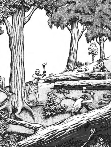 Cutting Timber to Build the Ark, While Noah Preached Righteousness (2 Peter 2:5)* (Part 1)